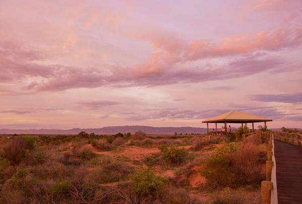 Arid Lands National Park, Port Augusta, Südaustralien © South Australian Tourism Commission