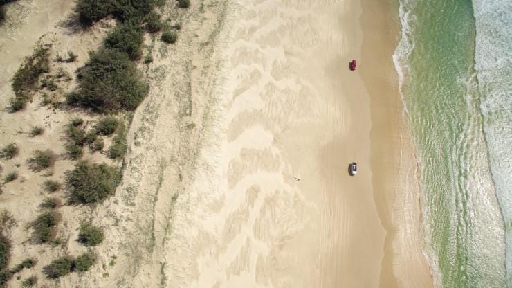 Fraser Island-Regenwald, Queensland © Tourism and Events Queensland