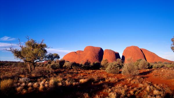 Kata Tjuta, Red Centre, Northern Territory © Tourism Australia