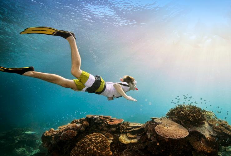 Mann mit Schnorchel und Flossen schwimmt über Korallenriff © Darren Jew