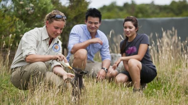 Great Ocean Eco Lodge, Cape Otway, Victoria © Mark Watson