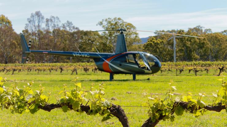 Grampians Helicopter Tours bei Best’s Wines, Grampians, Victoria © Justine Hide
