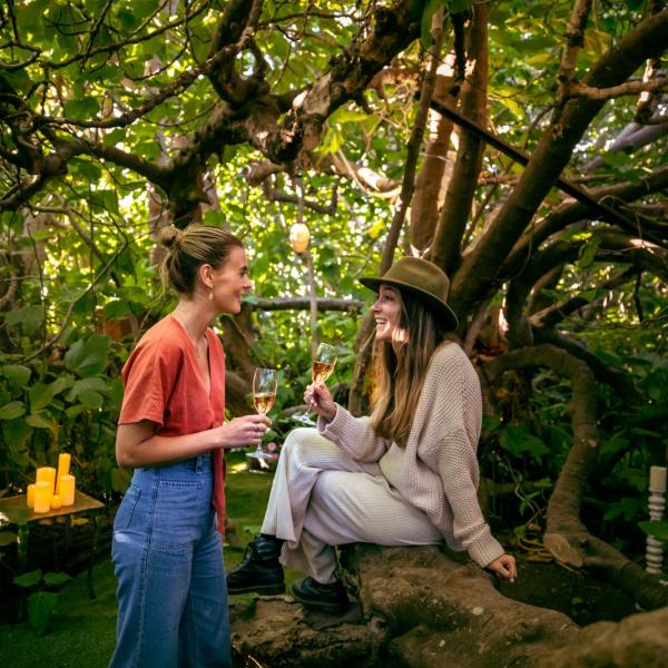 The Enchanted Fig Tree, Kangaroo Island, SA © South Australian Tourism Commission