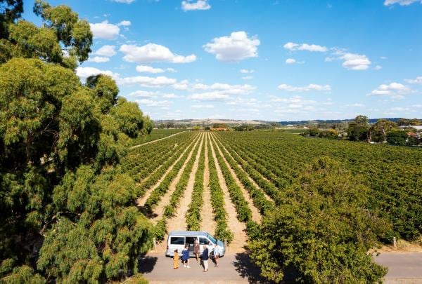 Barossa Taste Sensations tour at Elderton Wines, Barossa Valley, SA © Elderton Wines