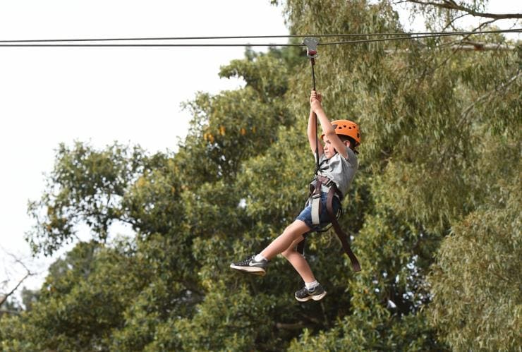 TreeClimb, Adelaide, South Australia © TreeClimb Adelaide