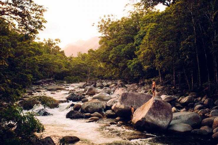 Guide to the Daintree Rainforest