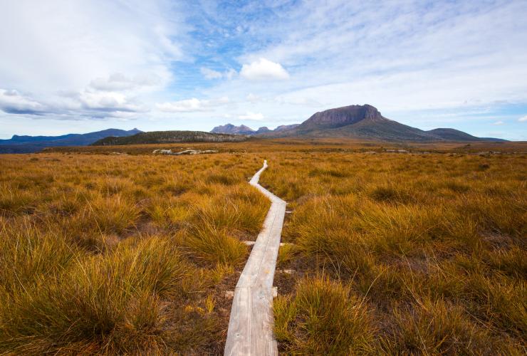 Cradle Mountain Huts Overland Track Walk, Mount Pelion West, Cradle Mountain-Lake St Clair National Park, TAS © Tasmanian Walking Company, Great Walks of Australia