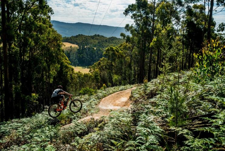 Wild Mersey Mountain Bike Trails, Latrobe, TAS © Revolution MTB