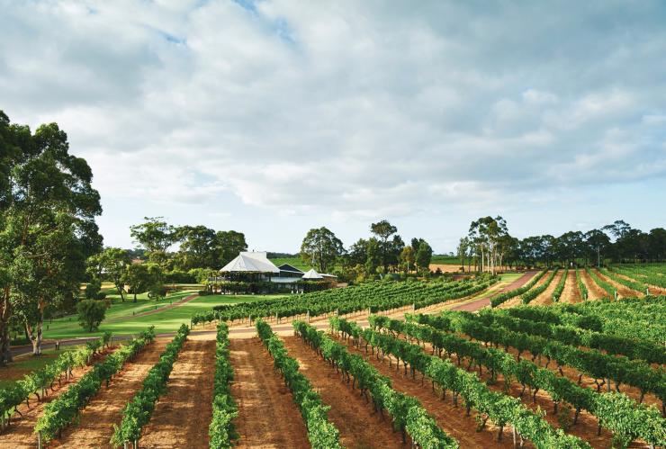 Vasse Felix, Margaret River, Western Australia © Vasse Felix/Chloe Jones Vasse Felix, Margaret River, Western Australia © Vasse Felix/Chloe Jones