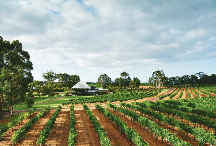 Vasse Felix, Margaret River, Western Australia © Vasse Felix/Chloe Jones