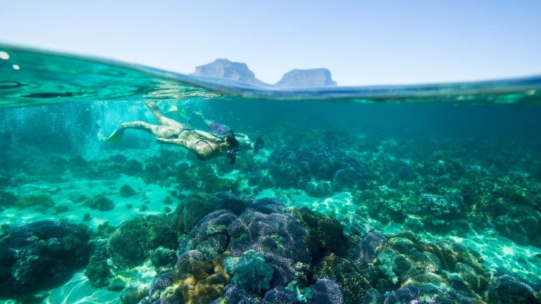 Guide To Lord Howe Island Tourism Australia