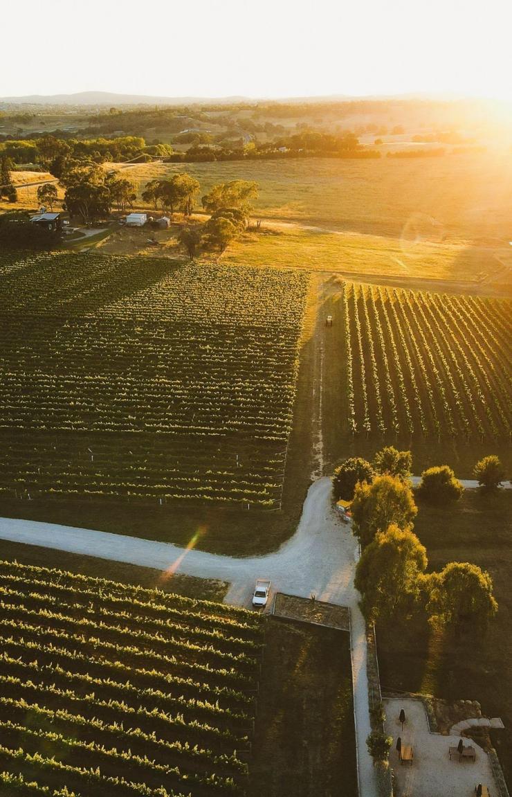Aerial shot of Orange, New South Wales © Tourism Australia