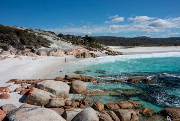 Feel the force of nature hiking the wukalina Walk along spectacular beaches © Tourism Australia
