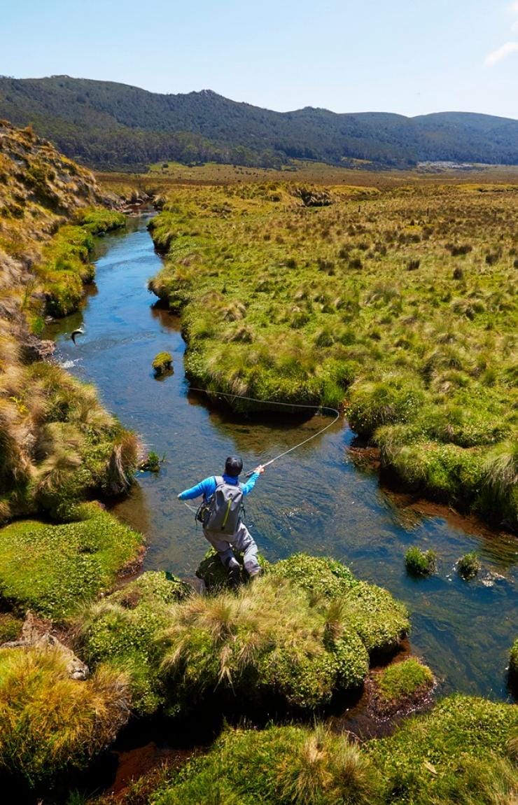 A person fly fishing in a small waterway surrounded by greenery, Fly Fishing, Tasmania © Tom Rafalovich 