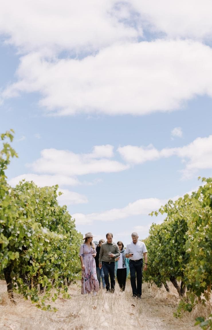 A group of people walking throw lush vineyards with McLeod Tours, Margaret River, Western Australia © Tourism Australia
