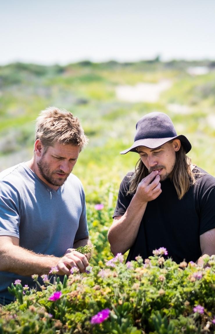 Curtis Stone and Paul “Yoda” Iskov, Gas Bay, WA © Insight Photography