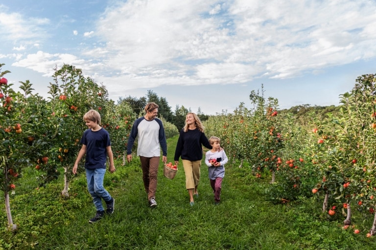 Family enjoying a day of apple picking at Shields Orchard in Bilpin © Destination NSW