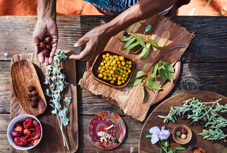 Flatlay of  native bush tucker ingredients © Voyages