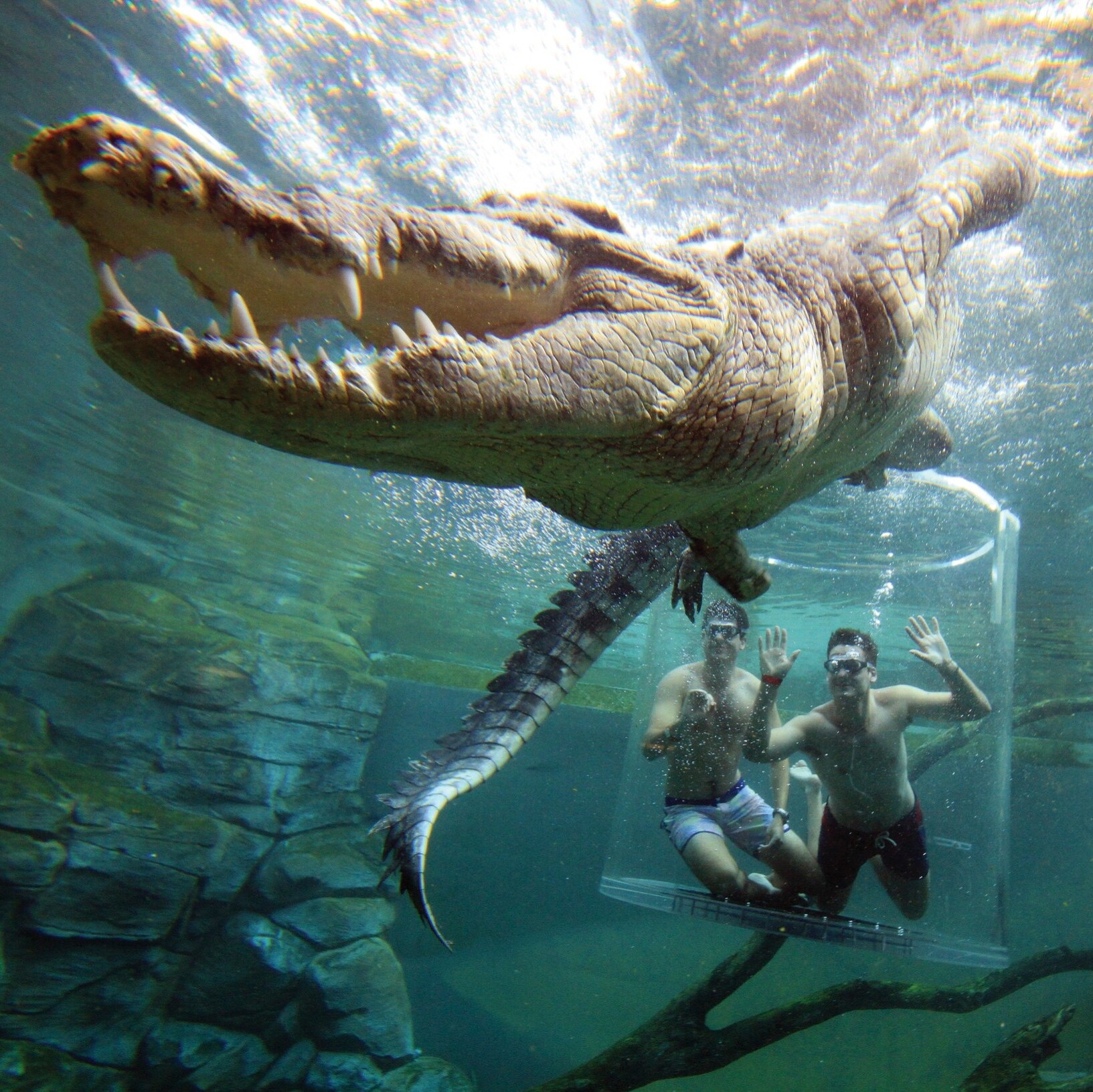 A visitor diving in the Cage of Death with a saltwater crocodile at Crocosaurus Cove © Tourism NT/Shaana McNaught