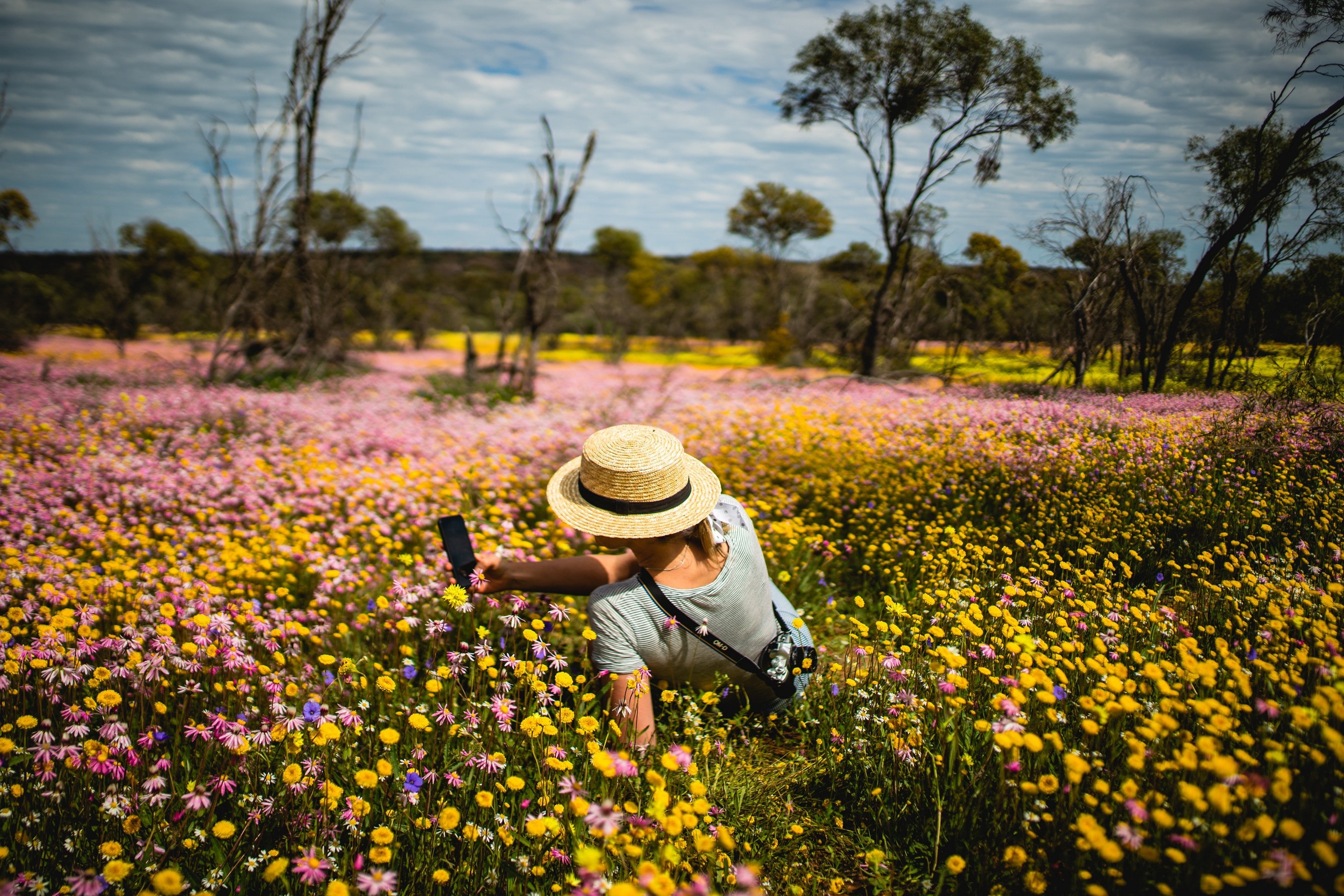 Woman lying among the wildflowers at Coalseam Conservation Park © Tourism Western Australia