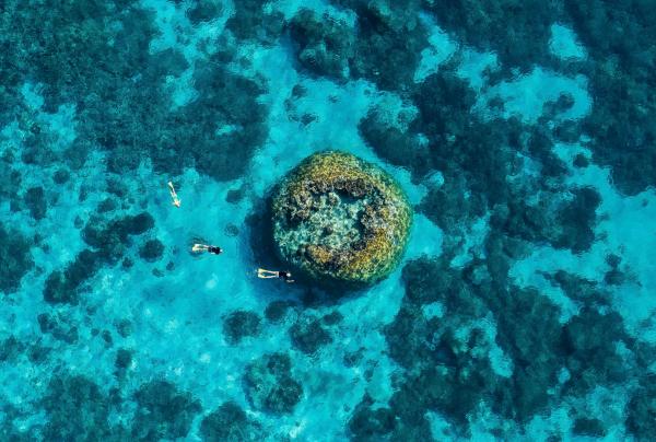 Wilson Island, Queensland © Tourism and Events Queensland