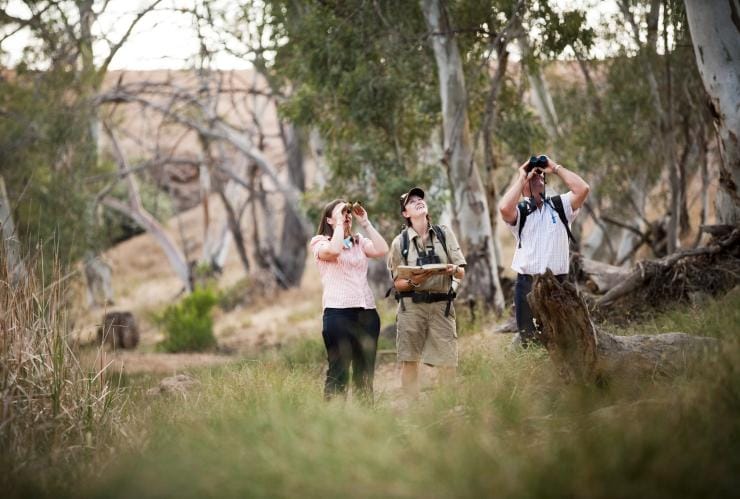 Bushwalkers with binoculars, Arkaba Station, Flinders Ranges, SA © Wild Bush Luxury