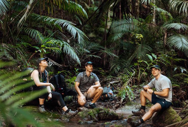 Hikers crouched in the Lamb Range in Cairns © FNQ Nature Tours