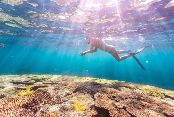 Snorkeller floats above a the colourful Ningaloo Reef at Coral Bay © Tourism Western Australia