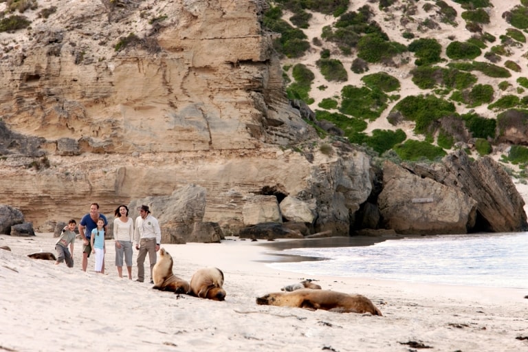 Seal Bay, Kangaroo Island, SA © Tourism Australia