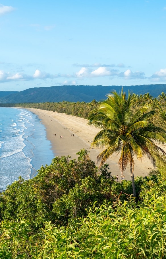 Aerial view of beach, Port Douglas, Queensland © Tourism Australia