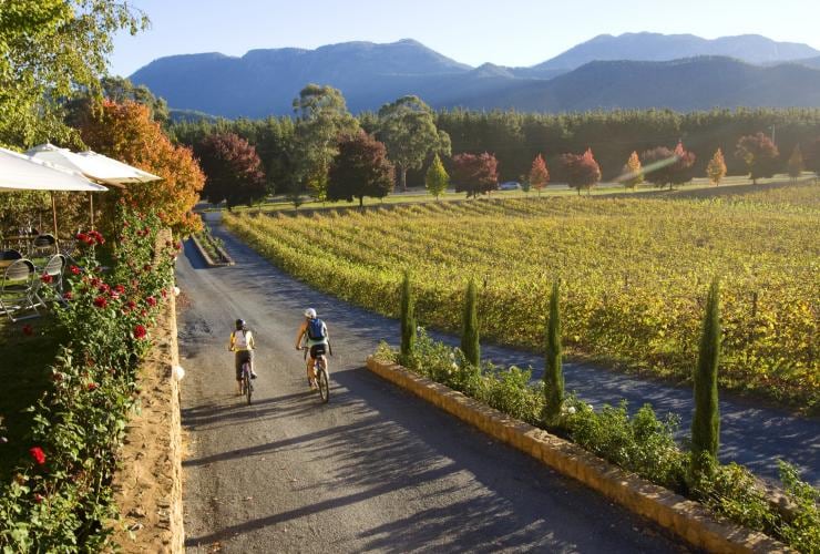 Cycling alongside grapevines at Boyntons Feathertop Winery © Victorian Wine Industry Association