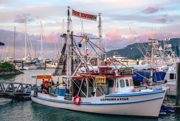 Prawn Star, Cairns Marlin Marina, Queensland © Tourism Tropical North Queensland