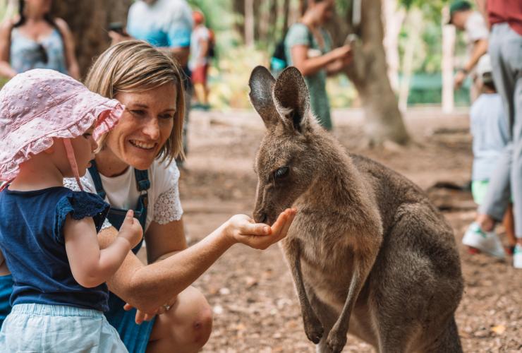 Australia Zoo, Sunshine Coast, QLD © Tourism and Events Queensland