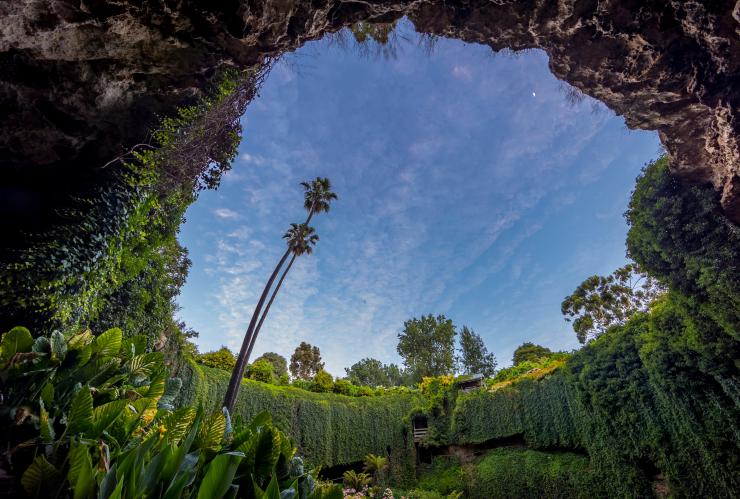 Umpherston Sinkhole, Mount Gambier, Limestone Coast, SA © South Australian Tourism Commission