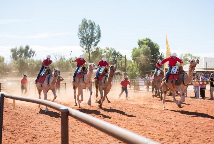 Uluru Camel Cup Race, NT © Uluru Camel Tours © Uluru Camel Tours