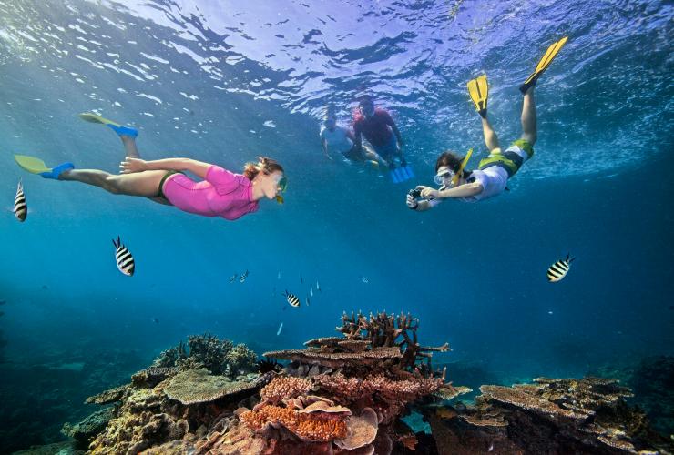 Snorkelling, Great Barrier Reef, QLD © Darren Jew