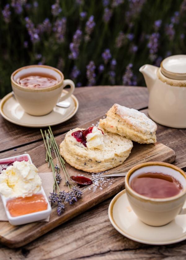 Emu Bay Lavender Farm, Kangaroo Island, SA © Meaghan Coles