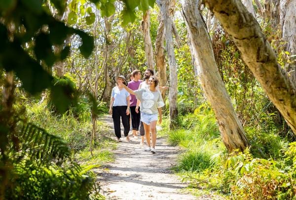 A tour guide leading guests through a lush green forest, Yura Tours, North Stradbroke Island, Queensland © Brisbane Economic Development Agency