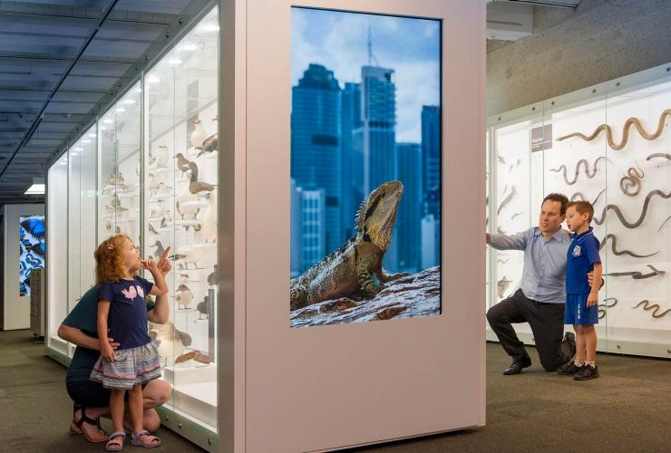 Discovery Centre, Queensland Museum, QLD © Queensland Museum Network