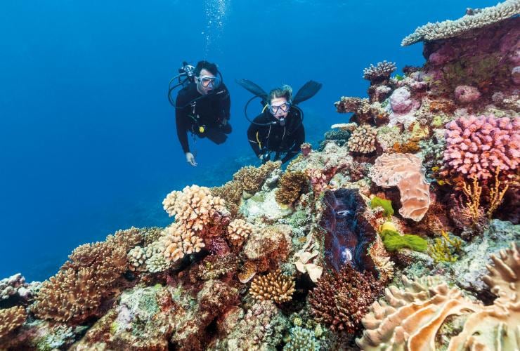 Scuba diving at Agincourt Reef, Tropical North Queensland © Tourism and Events Queensland