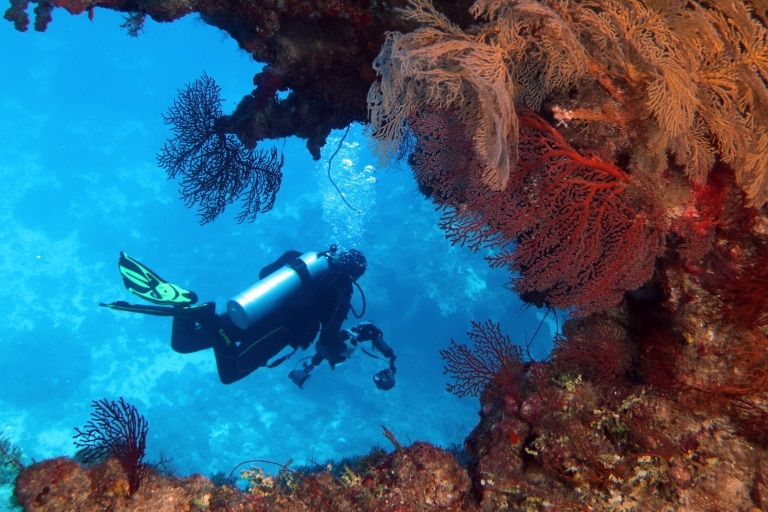 Holmes Reef with Mike Ball Dive Expeditions, Great Barrier Reef, QLD © Deborah Dickson-Smith