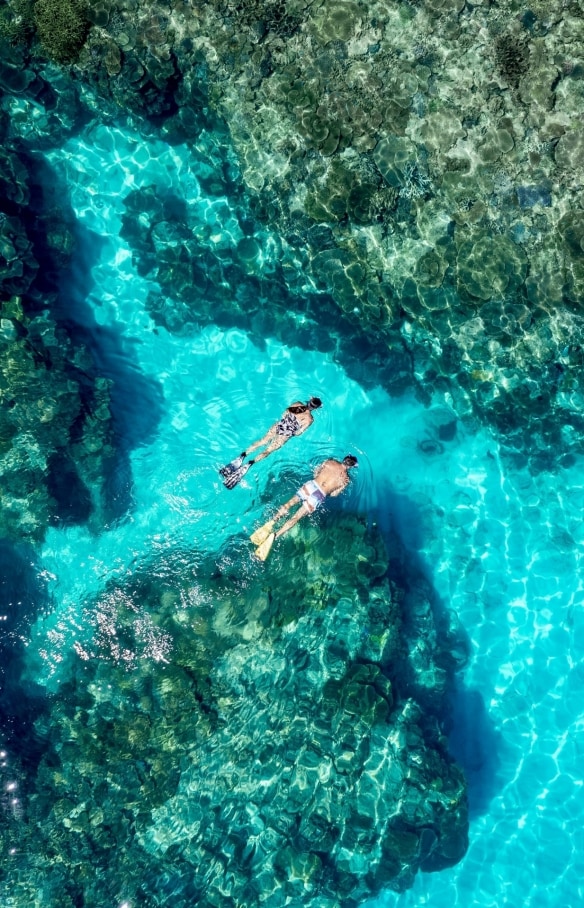 Snorkelling with turtle at Ningaloo Reef, WA © Australia’s Coral Coast