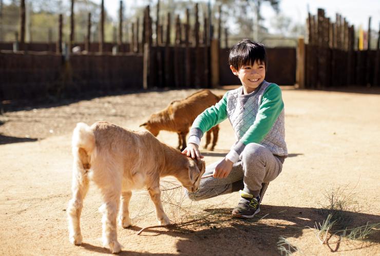 Taronga Western Plains Zoo, Dubbo, New South Wales © Destination NSW