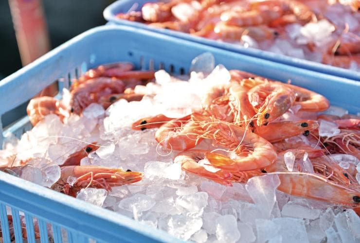 Freshly-caught prawns on ice at Mooloolaba © Tourism and Events Queensland