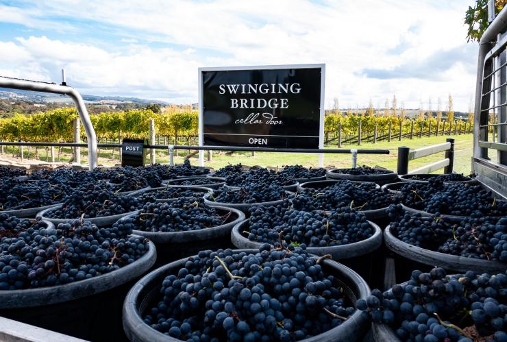 Swinging Bridge, Orange, NSW © Swinging Bridge/Ultimate Winery Experiences of Australia