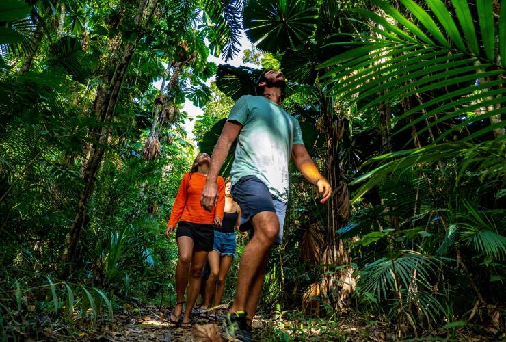 Visitors walking through the rainforest on a Daintree Tour © Daintree Tours