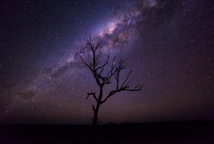 Stargazing, Uluru-Kata Tjuta National Park, NT © Matt Donovan