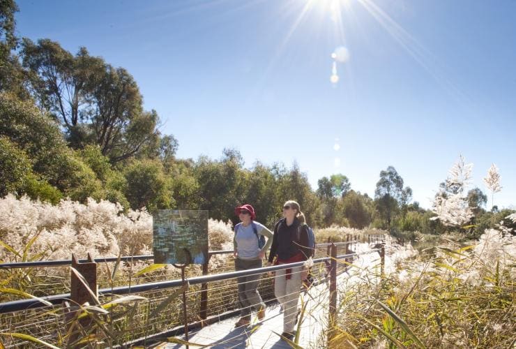 Two visitors walking through Tidbinbilla Nature Reserve in Canberra © VisitCanberra