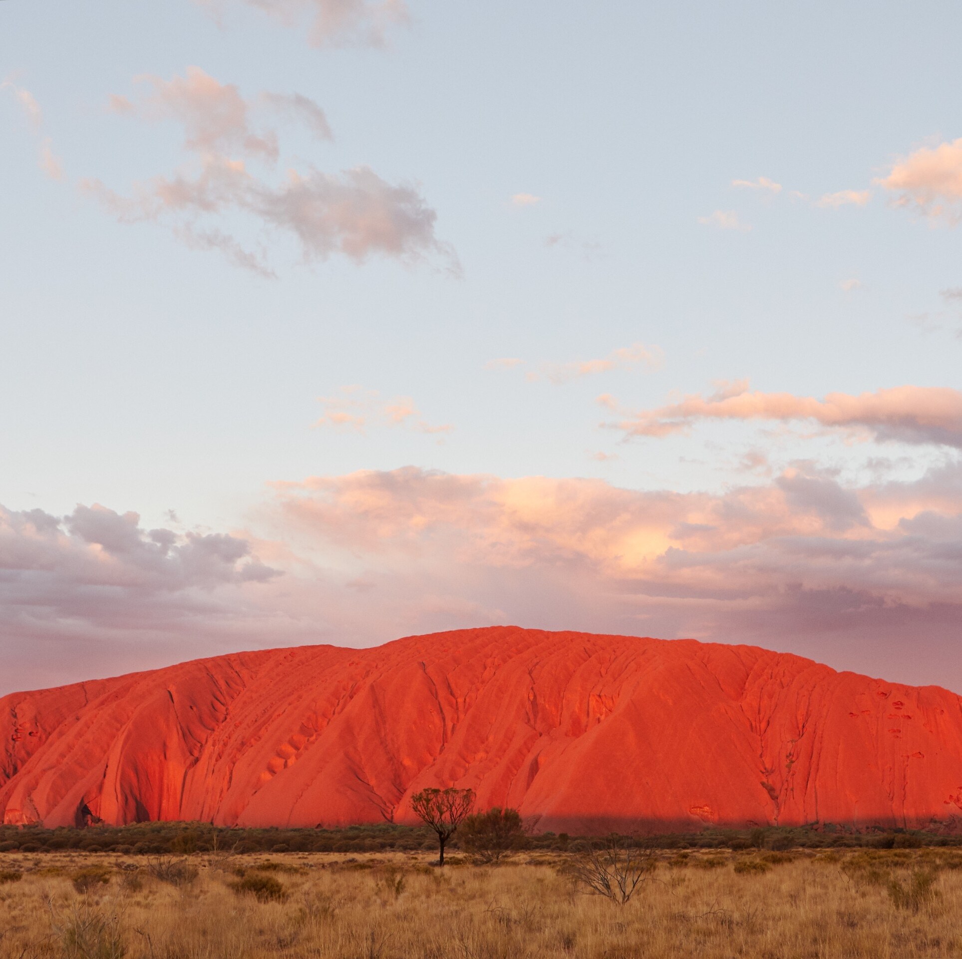 Uluru is a massive sandstone monolith in the heart of the Northern Territory's arid "Red Centre". Uluru is sacred to indigenous Australians and is thought to have started forming around 550 million years ago. © Tourism Northern Territory