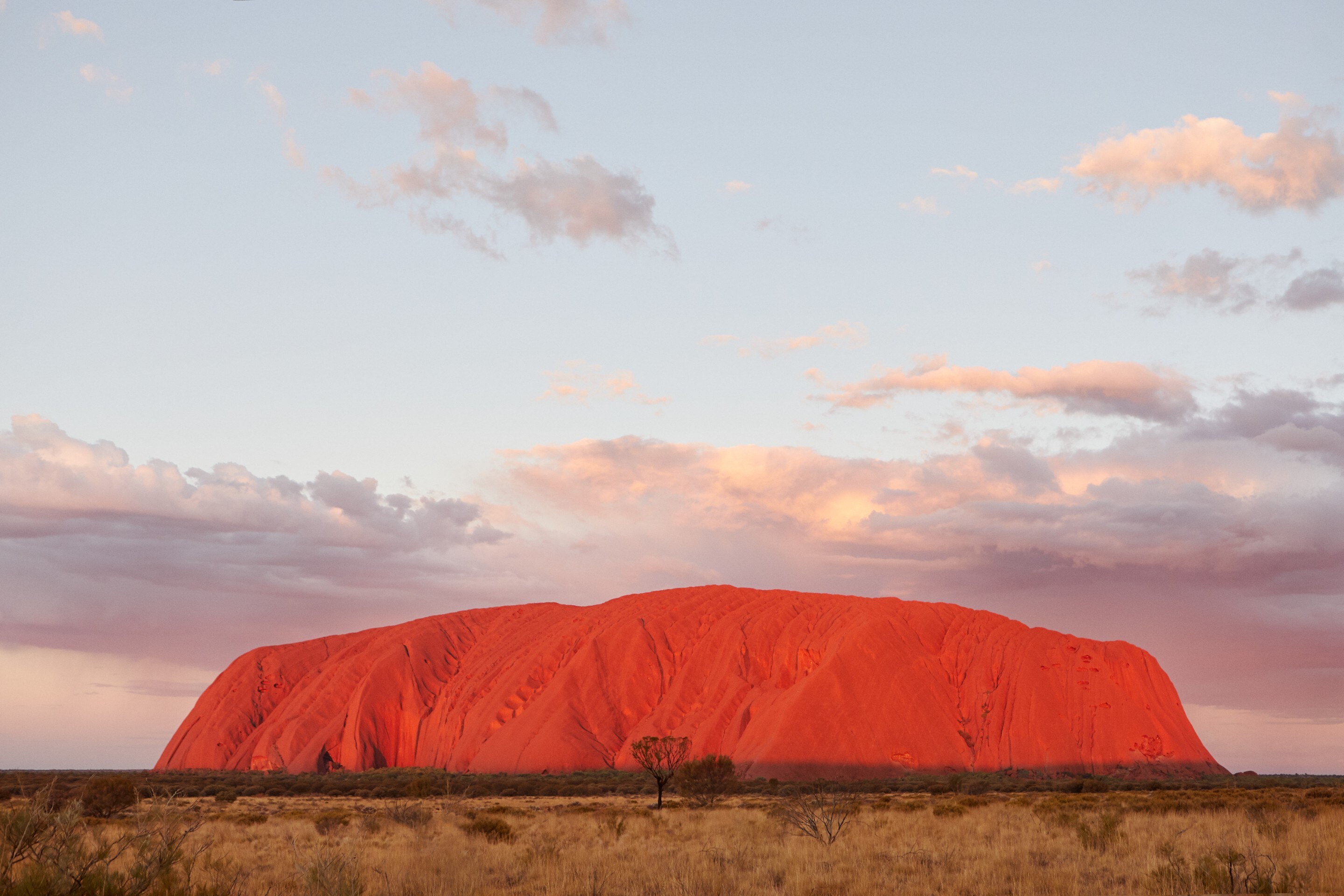 Uluru is a massive sandstone monolith in the heart of the Northern Territory's arid "Red Centre". Uluru is sacred to indigenous Australians and is thought to have started forming around 550 million years ago. © Tourism Northern Territory